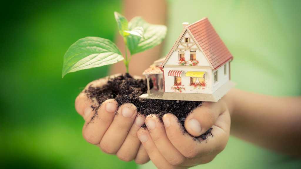 How to Build an Eco-Friendly Home